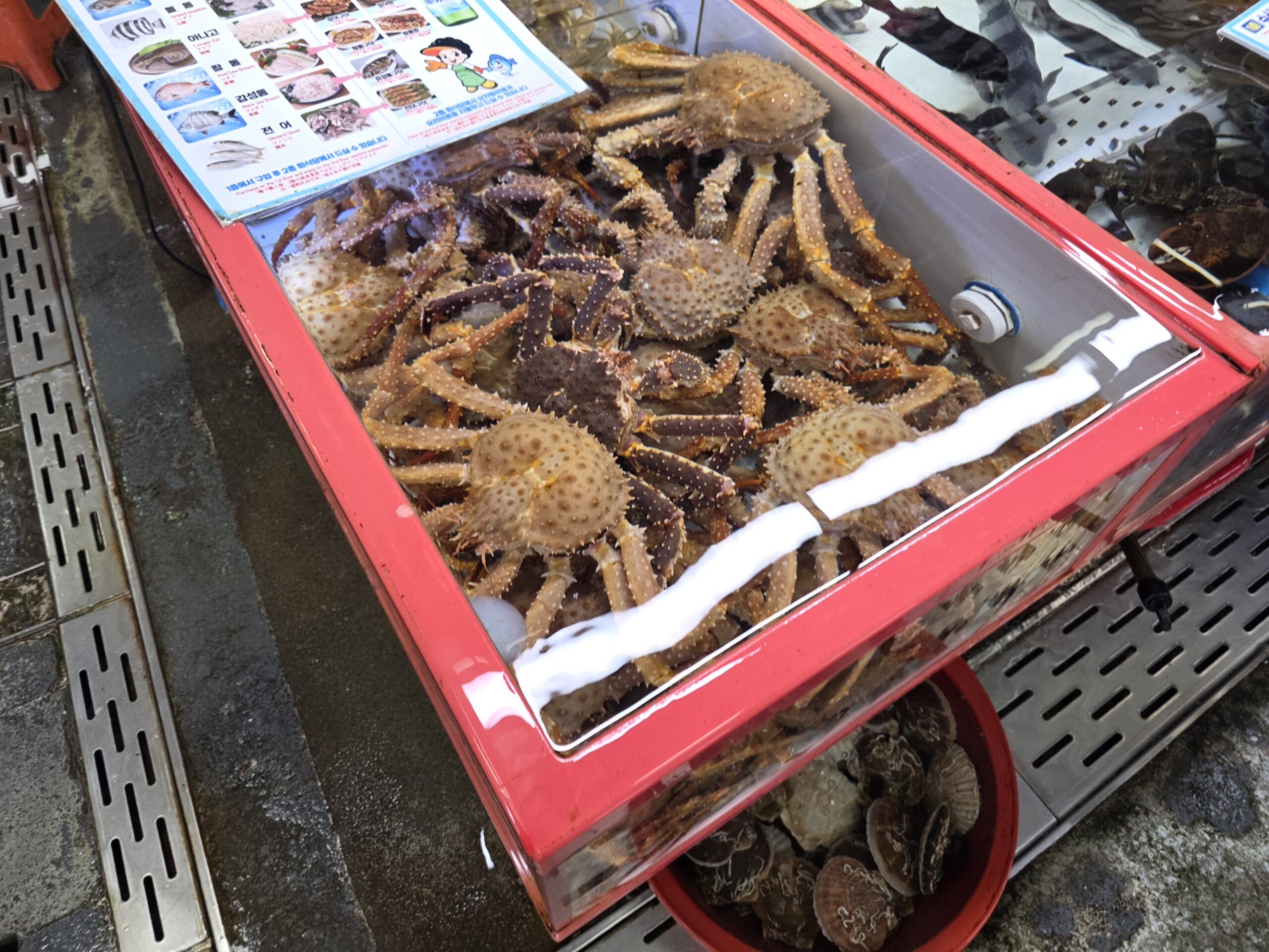 Korea 12 – Busan: couleur locale
