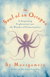 Soul of an Octopus