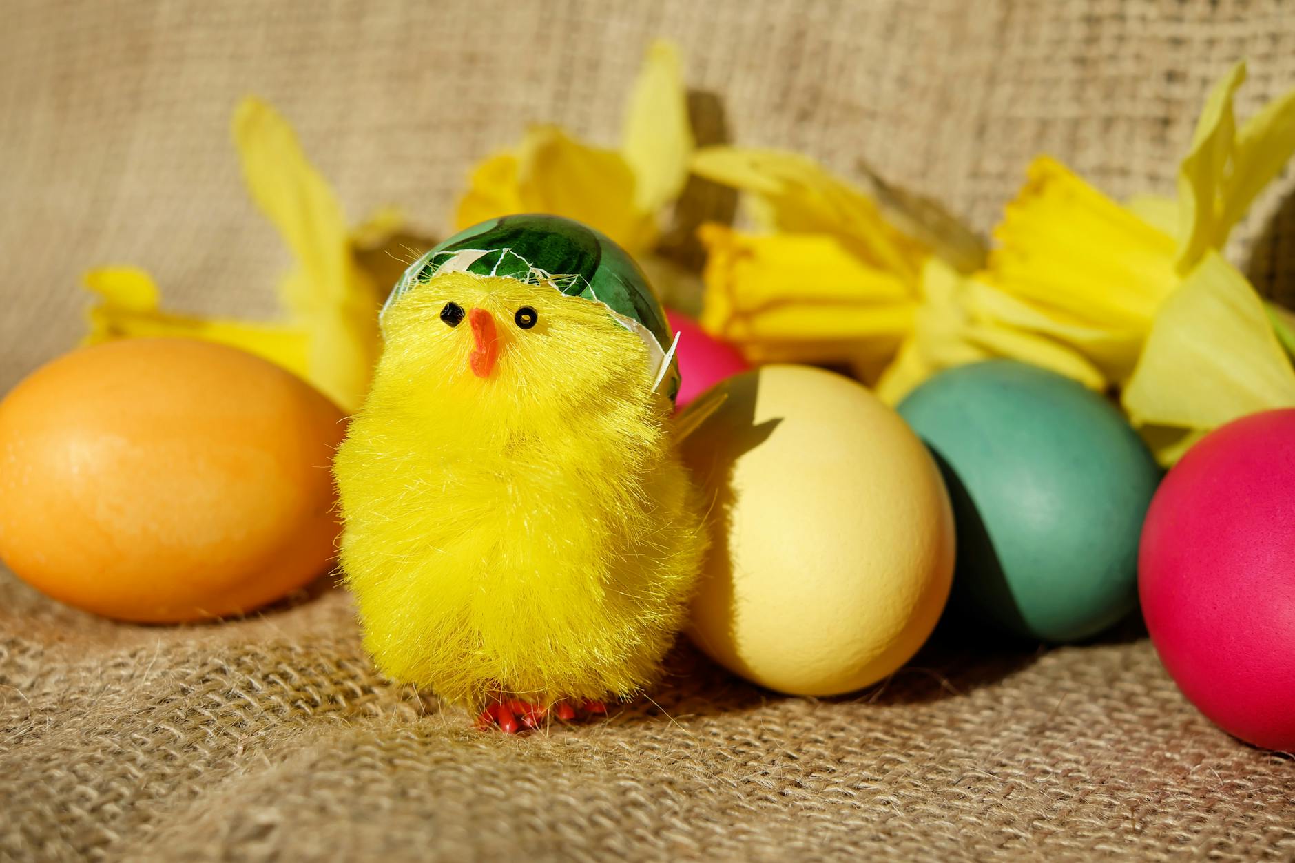 a toy chick beside colorful eggs